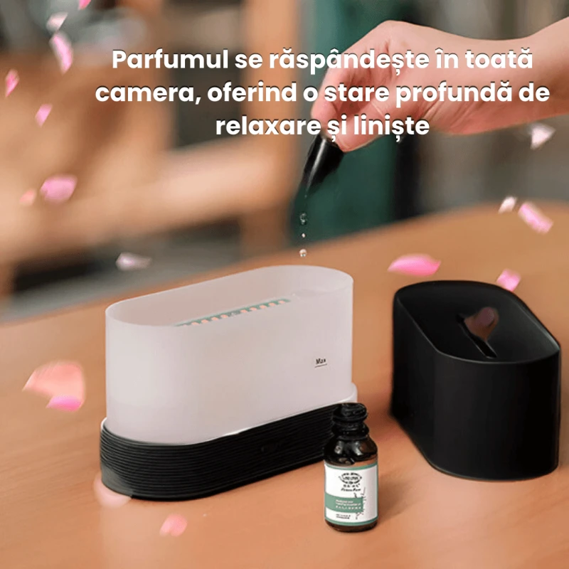 UMIDIFICATOR FLACARA 4