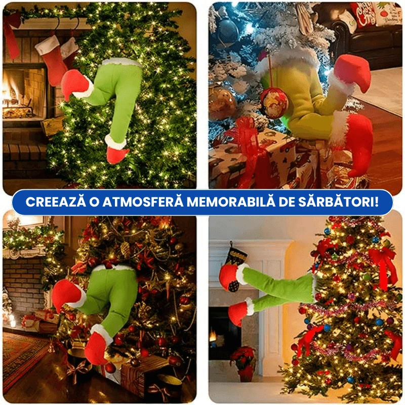 PICIOARE SPIRIDUS 3