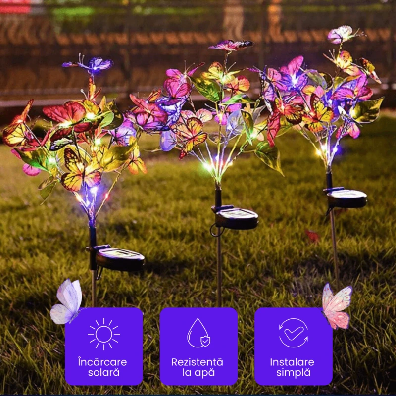 FLUTURI LUMINOSI 1