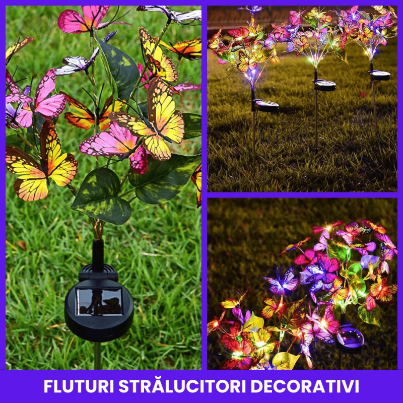 FLUTURI LUMINOSI 3