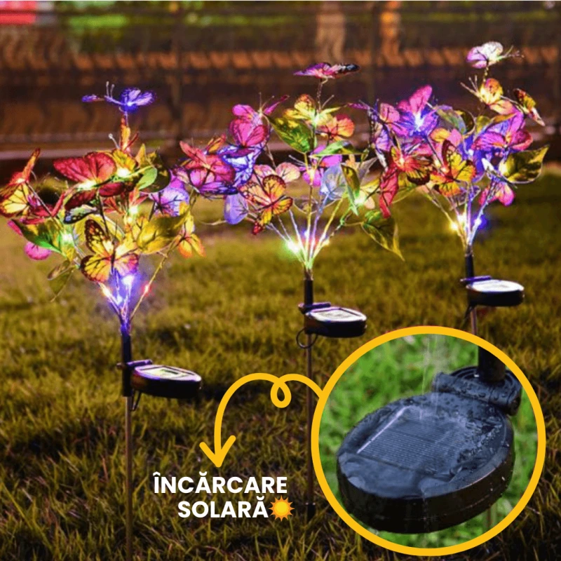 FLUTURI LUMINOSI 2
