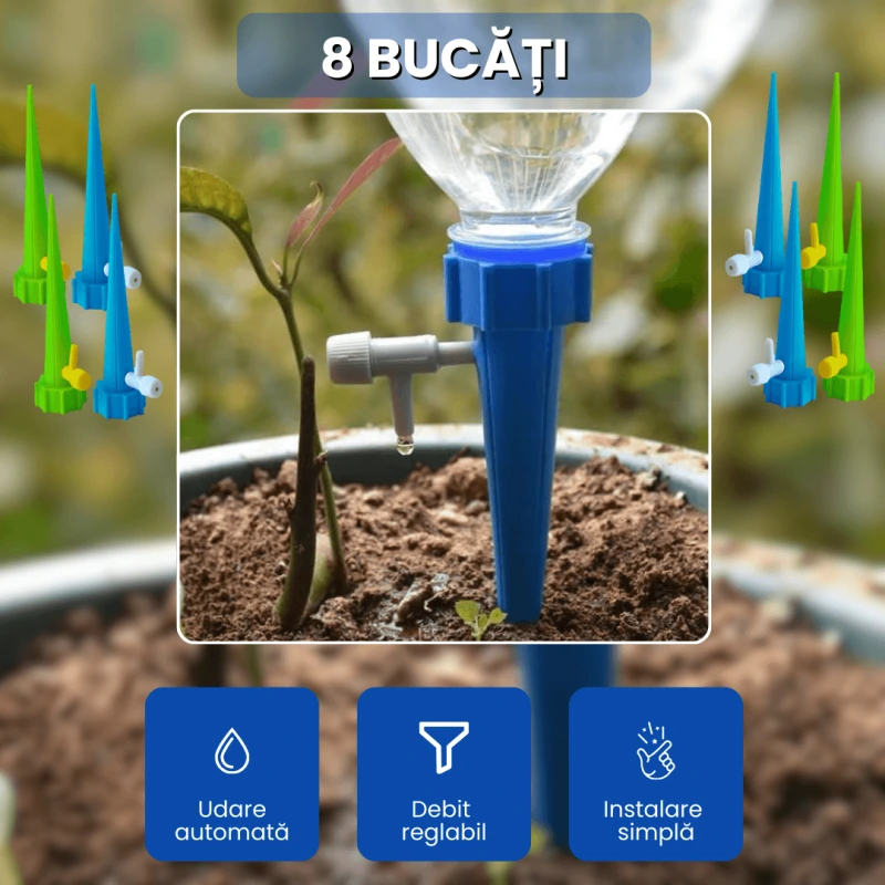 DUZE UDAT PLANTE 1
