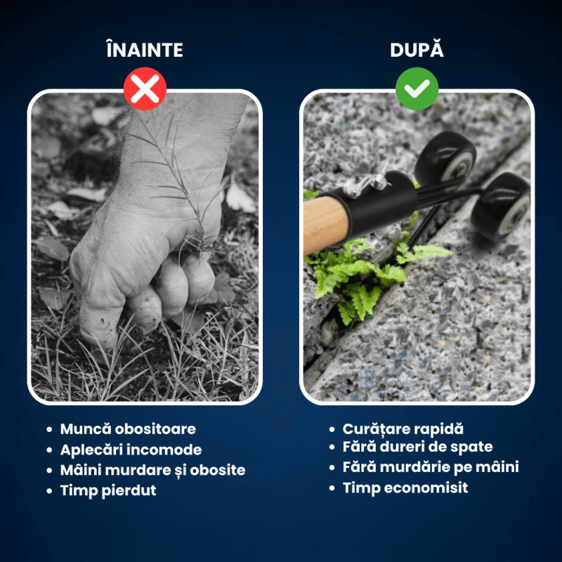 UNEALTA BURUIENI 5