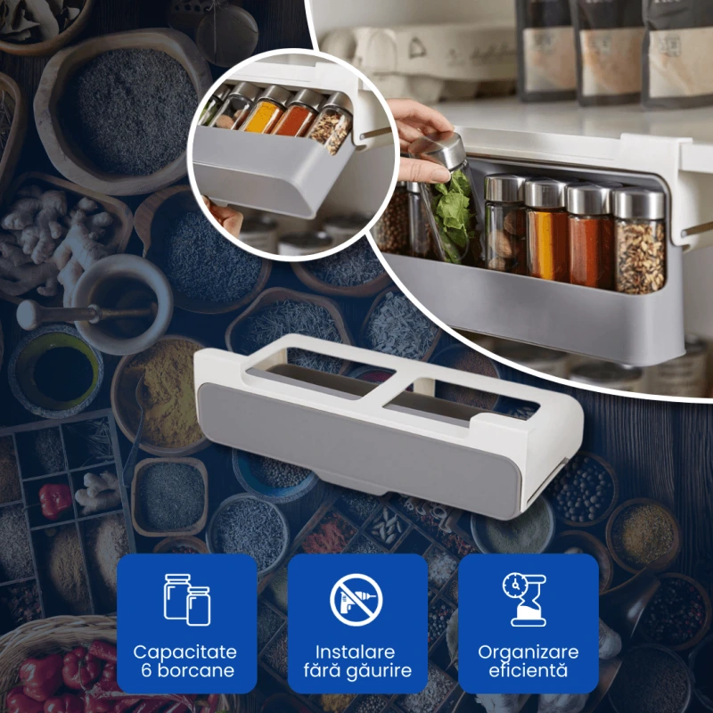 ORGANIZATOR GLISANT CONDIMENTE 1