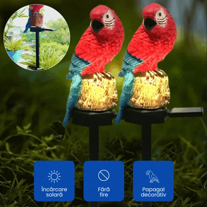 PAPAGALI LED 1