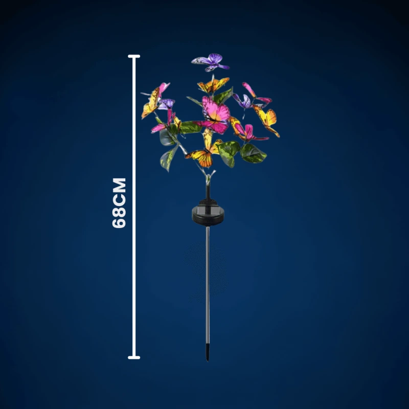 FLUTURI LUMINOSI 6