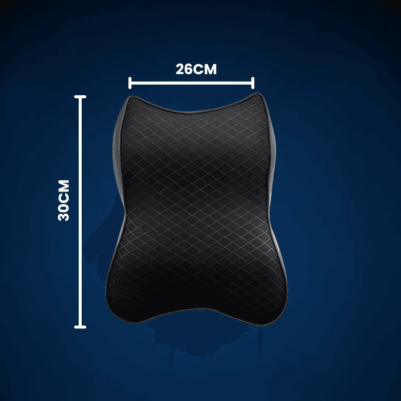 PERNA ERGONOMICA MASINA 6