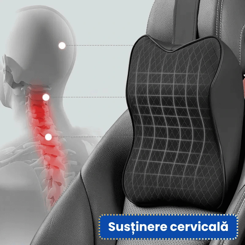 PERNA ERGONOMICA MASINA 4