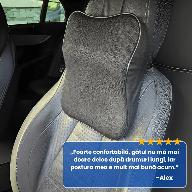 PERNA ERGONOMICA MASINA 5