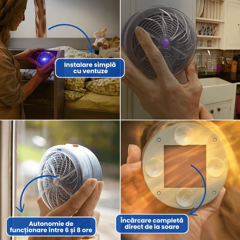 DISPOZITIV TANTARI MUSTE 2