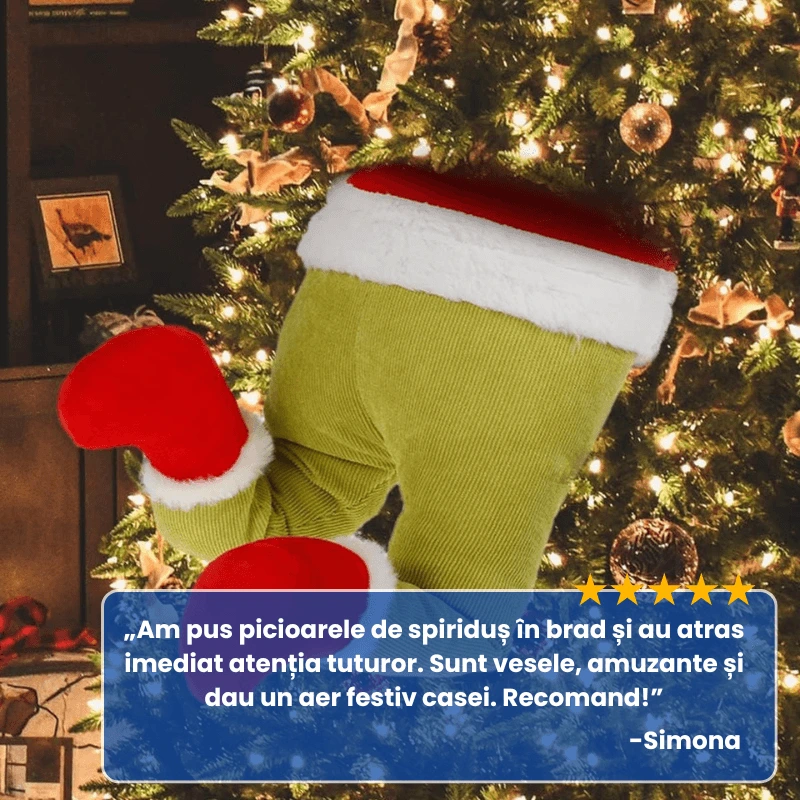 PICIOARE SPIRIDUS 5