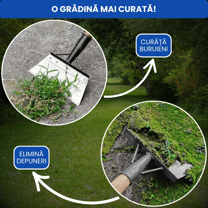RACLETA GRADINARIT 2