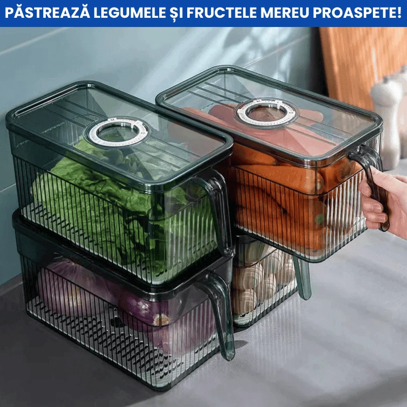 CUTIE DEPOZITARE FRIGIDER 3