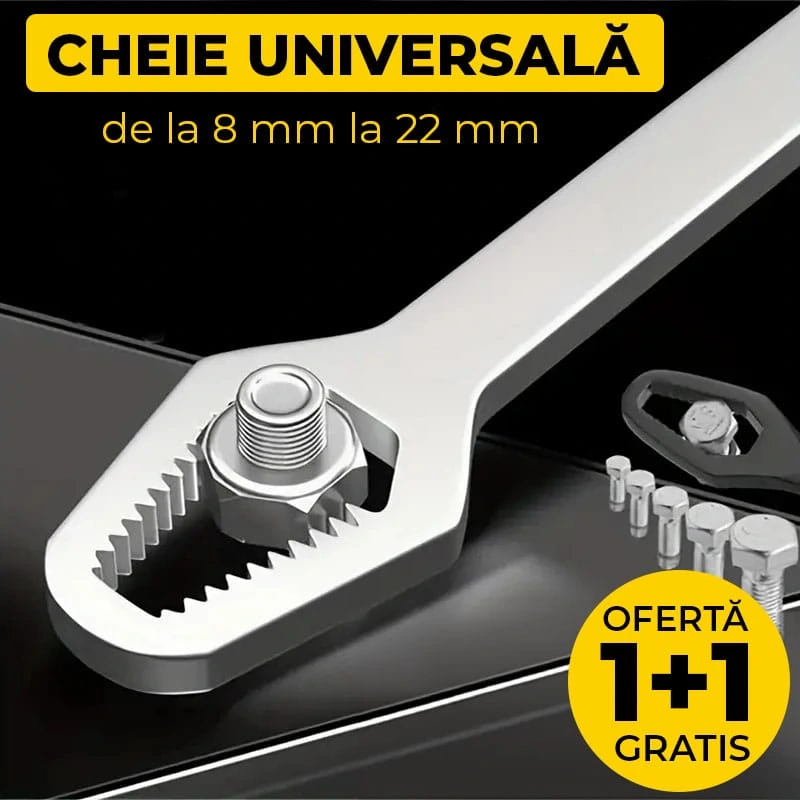 CHEIE UNIVERSALĂ TORX 1