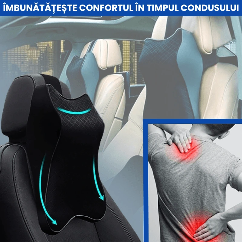 PERNA ERGONOMICA MASINA 3