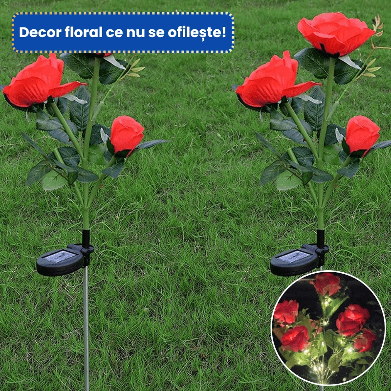 TRANDAFIRI LED 4