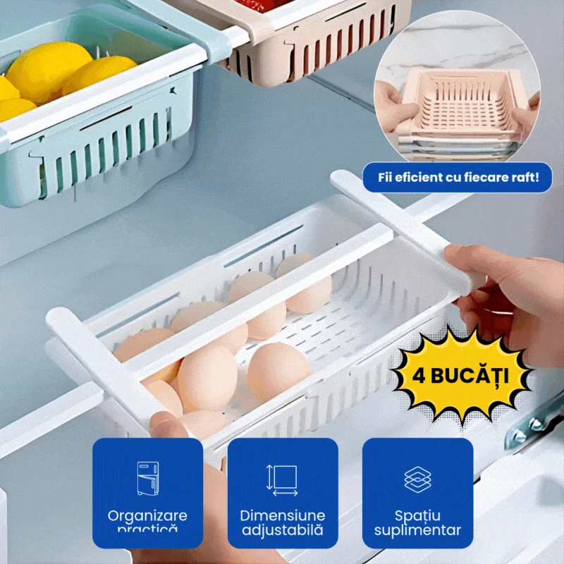 SET 4 RAFTURI FRIGIDER 1