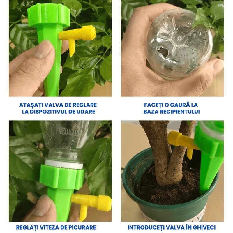 DUZE UDAT PLANTE 3