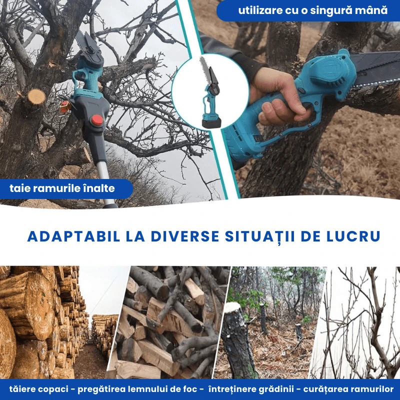 DRUJBA SI FOARFECA 4