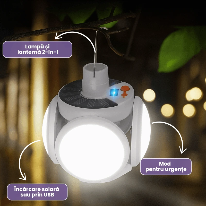 LAMPA 5 CAPETE 2