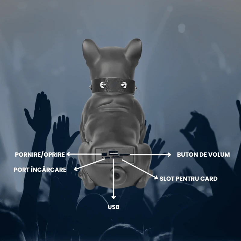 BOXA BULLDOG 5