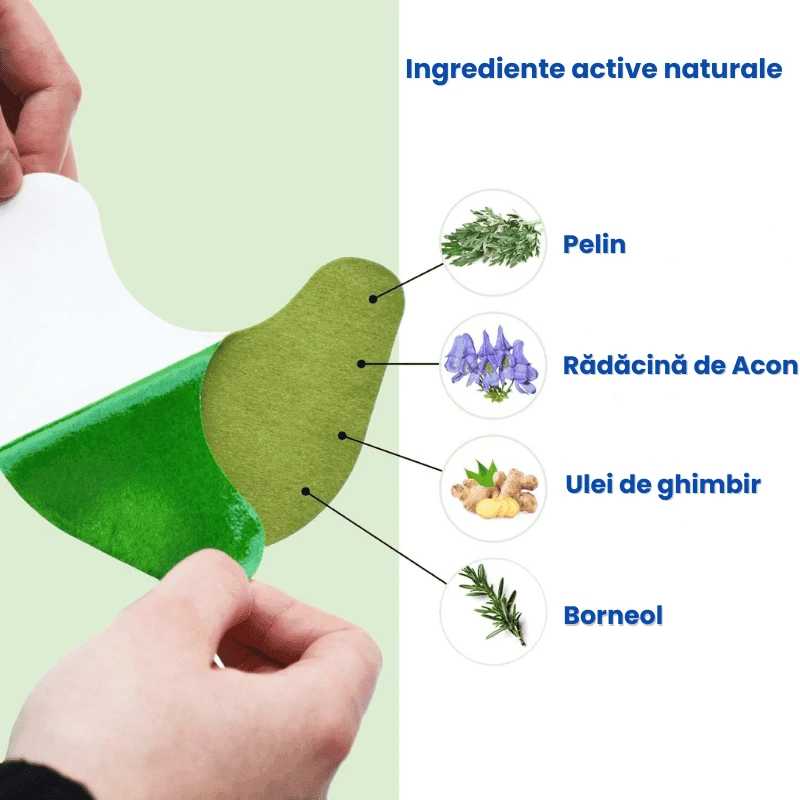 PLASTURI GENUNCHI 3