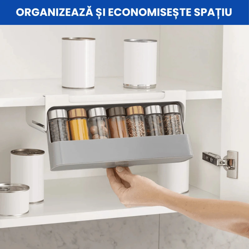ORGANIZATOR GLISANT CONDIMENTE 2