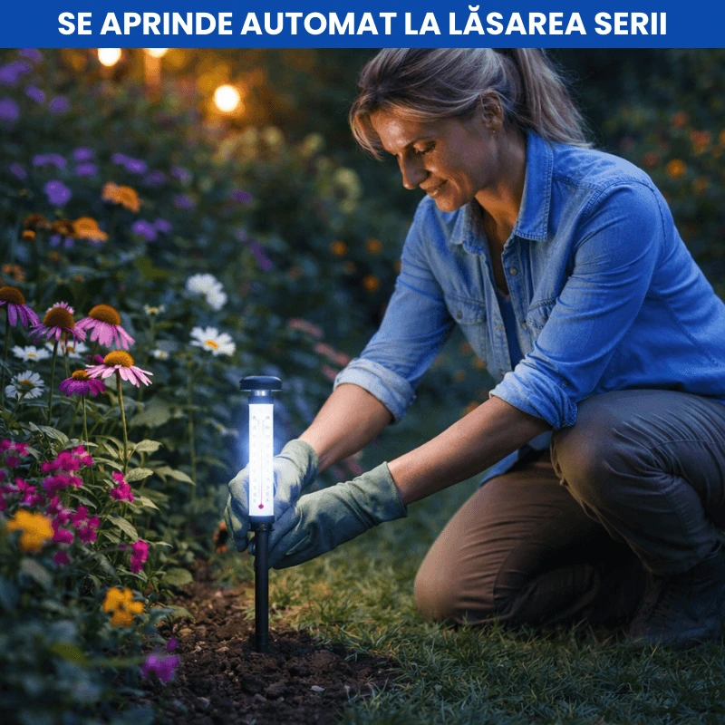 TERMOMETRU DE GRADINA 3