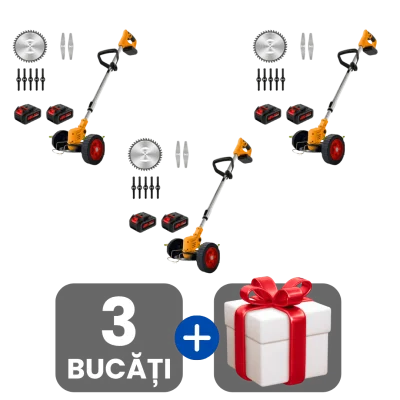 3 bucati