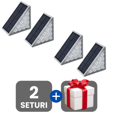 2 bucati