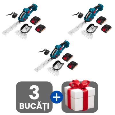 3 bucati