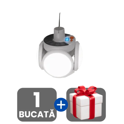 1 bucata