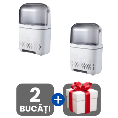2 bucati
