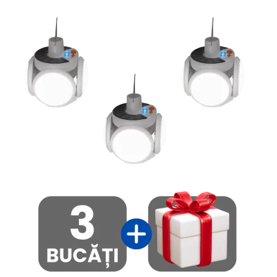 3 bucati