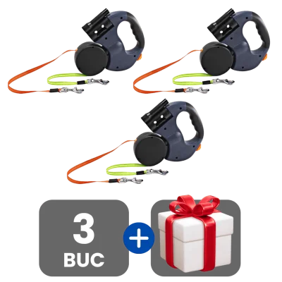 3 bucati