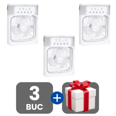 3 bucati