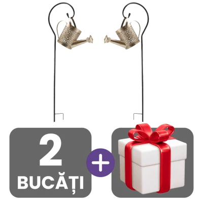 2 bucati