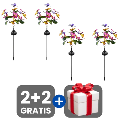 2 bucati