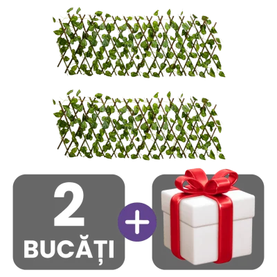2 bucati