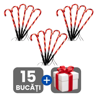 3 bucati