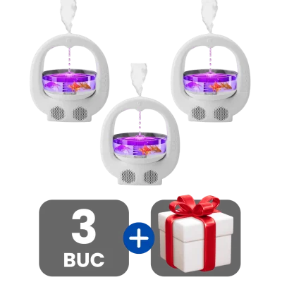 3 bucati