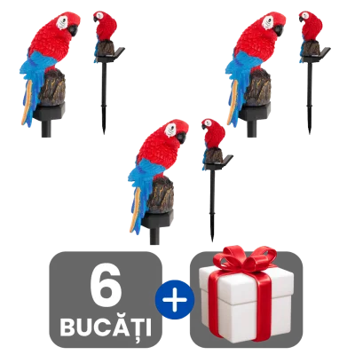 3 bucati