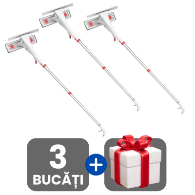 3 bucati