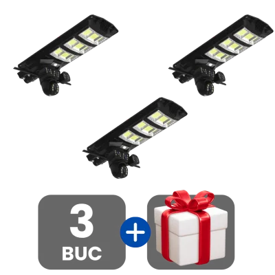 3 bucati