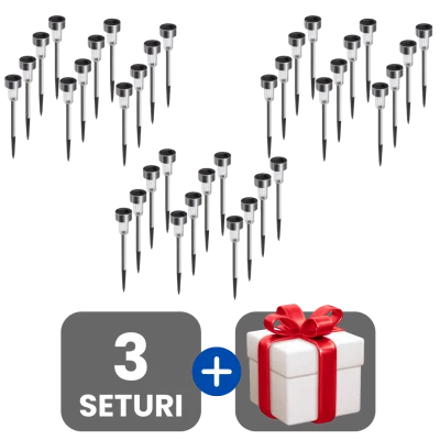 3 bucati