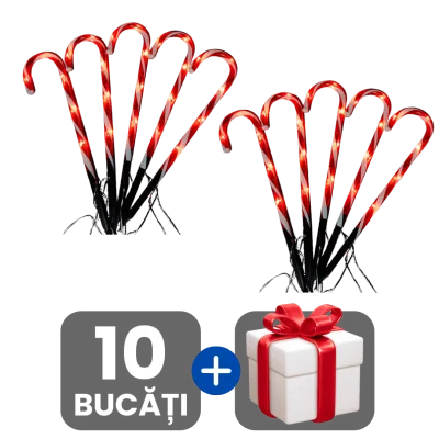 2 bucati