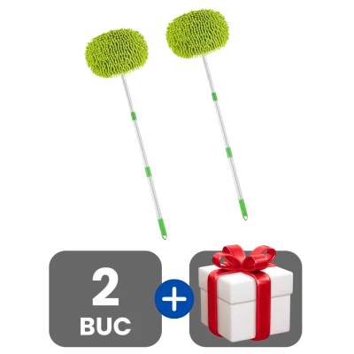 2 bucati