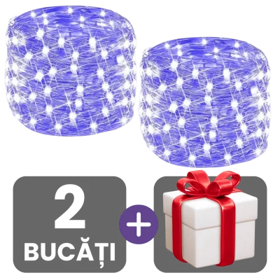 2 bucati