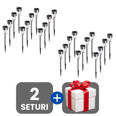 2 bucati