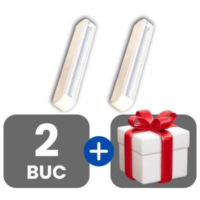 2 bucati